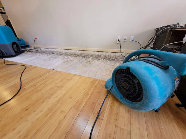 Professional Basement Flood Cleanup technician working in Weir, TX